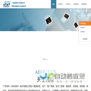 广东深科（深圳深科）电子有限公司